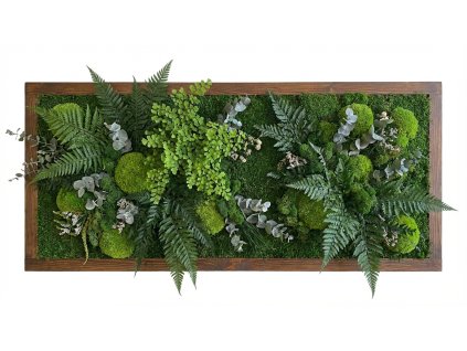 Design a new 202601270750