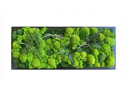 Design a new 202601270801