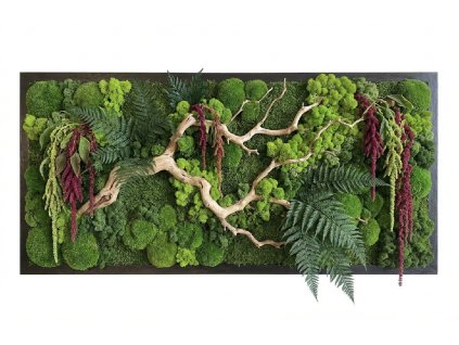 Snímek obrazovky 2026 01 27 v 11.20.10