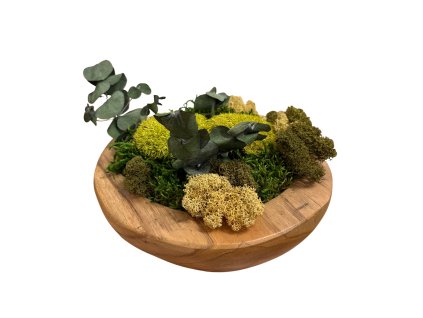 teaková miska euklaptus