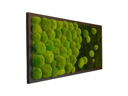 Moss picture in a frame made of solid wood 205 | a combination of scoop and flat moss