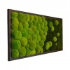 Moss picture in a frame made of solid wood 205 | a combination of scoop and flat moss