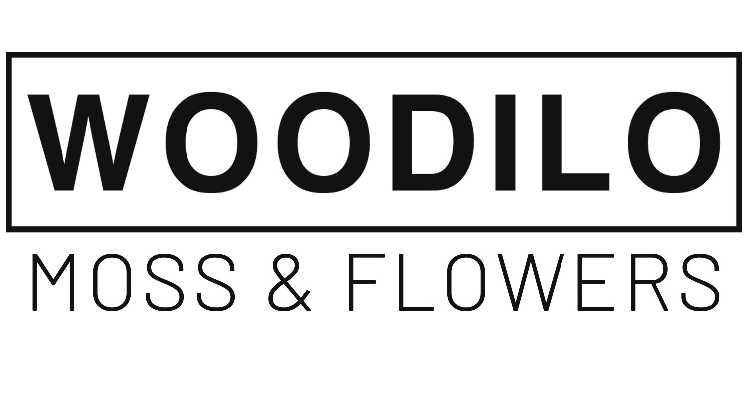 WOODILO moss & flowers
