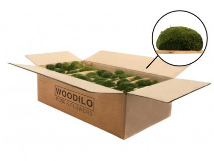 Kopečkový mech premium (ball moss) - přírodně zelená | krabice L