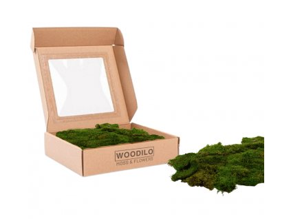 Plochý mech přírodně zelený krabice S