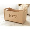 Box na hračky TONI (Farba Povrchová úprava - natural, Variant Mini)
