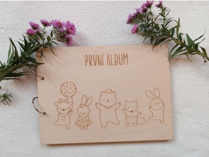 Dřevěná kniha - První album