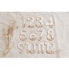 Číselné milníčky - Sada čísel s gravírováním pro 1-12 měsíců