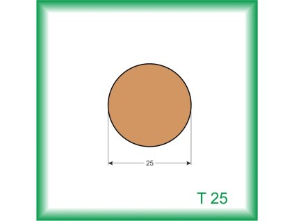 Tyč T 25