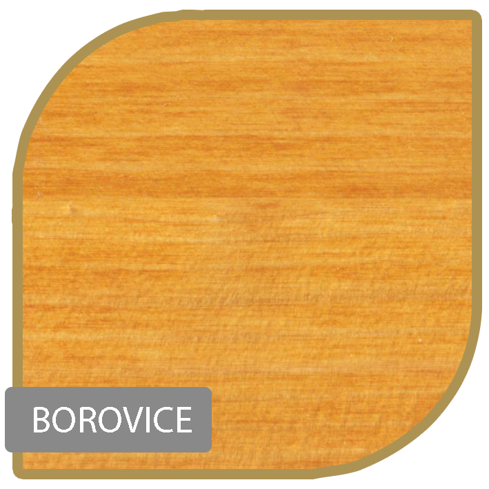 Borovice