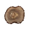 28833 drevo do pryskyrice 088 orech 530 420 25 mm