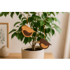 ChatGPT Image 2. 9. 2026 14 26 48