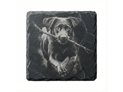 Gemini Generated Image tirraxtirraxtirr