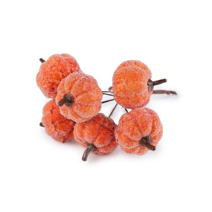 Künstliche Kürbisse auf Draht, mit Reif bedeckt (Varianta orange, Balení 6 Stück)