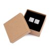 Manschettenknöpfe in Geschenkbox (Varianta 1 platine, Balení 1 Dose)