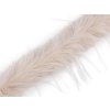 Kleidungs-/Dekopelz zum Einnähen langhaarig, Breite 6 cm (Varianta 1 hellbeige, Balení 1 m)