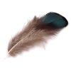 Fasanenfedern Länge 4,5-9 cm (Varianta 2 grün grau dunkel, Balení 20 Stück)