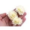 Künstliche Blume Chrysantheme Ø 5 cm (Varianta 1 weiß, Balení 10 Stück)