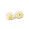 Künstliche Blume Chrysantheme Ø 5 cm (Varianta 1 weiß, Balení 10 Stück)