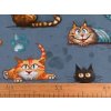 Baumwollstoff/Leinwand Katzen (Varianta (940) Jeansblau, Balení 1 m)