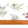 Baumwollstoff/Leinwand Wiesenblumen (Varianta weiß, Balení 1 m)