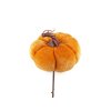Stecker Samtkürbis (Varianta 1 orange, Balení 1 Stück)