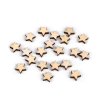 Mini-Holzstern zum Aufkleben Ø 10 mm (Varianta 1 weiß natur-, Balení 20 Stück)