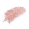 Straußenfedern Länge 50–55 cm (Varianta 1 weiß, Balení 1 Stück)