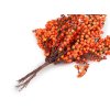 Künstliche Beeren/Sanddorn auf Draht (Varianta orange, Balení 1 Bündel)