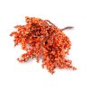 Künstliche Beeren/Sanddorn auf Draht (Varianta orange, Balení 1 Bündel)