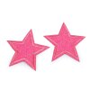 Aufbügler Stern mit Glitzer (Varianta 1 silber, Balení 2 Stück)