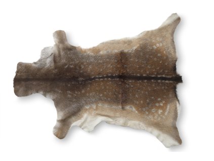 Dekorativní kožežina daněk, 120 x 60 cm