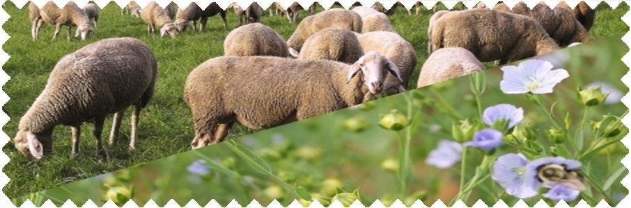wool/linen