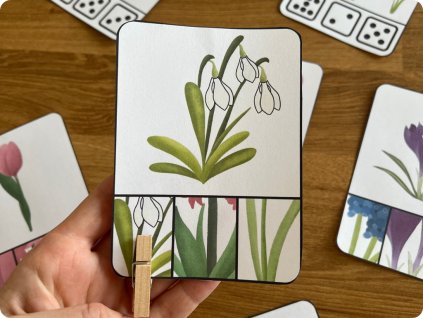 Návrh bez názvu (28)