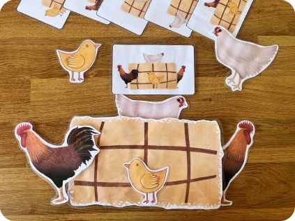 orientace v prostoru