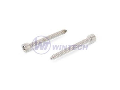 Šroub do pl.válc.hl. imbus 4,8x40 A2 500ks