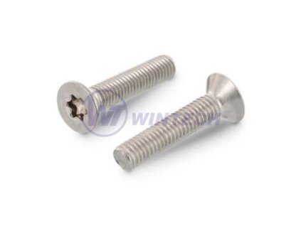 Šroub  M6 x 14  DIN 7991 nerez A2, TX30