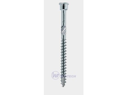 Vruty s cyl.hl 5,0 x 50 T25 nerez C1 200ks