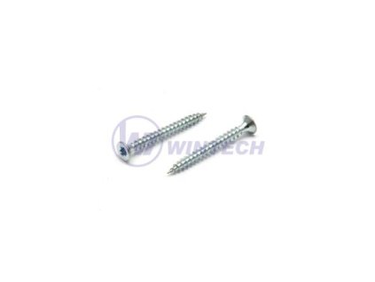 Vrut do dřeva  ZH TORX  3,0 x 25  ZB