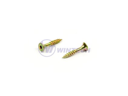 Vrut do dřeva  ZH TORX  5,0 x 40/24  ZZ