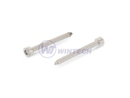 Šroub do pl.válc.hl. imbus 4,8x25 A2