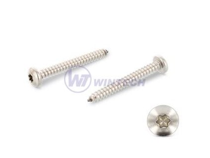 Šroub do plechu 3,9x22 DIN 7981C A4 TX