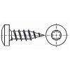 Vrut do dřeva  PH TORX  5,0 x 20  ZŽ