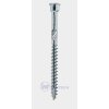 Vruty pro ter. s cyl.hl 5,0 x 80 T25 C1 200ks