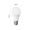 LED žárovka Classic A60 / E27 / 7 W (60 W) / 806 lm / Studená bílá