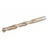 Vrták do kovu HSS TITAN (Průměr 10,0mm)