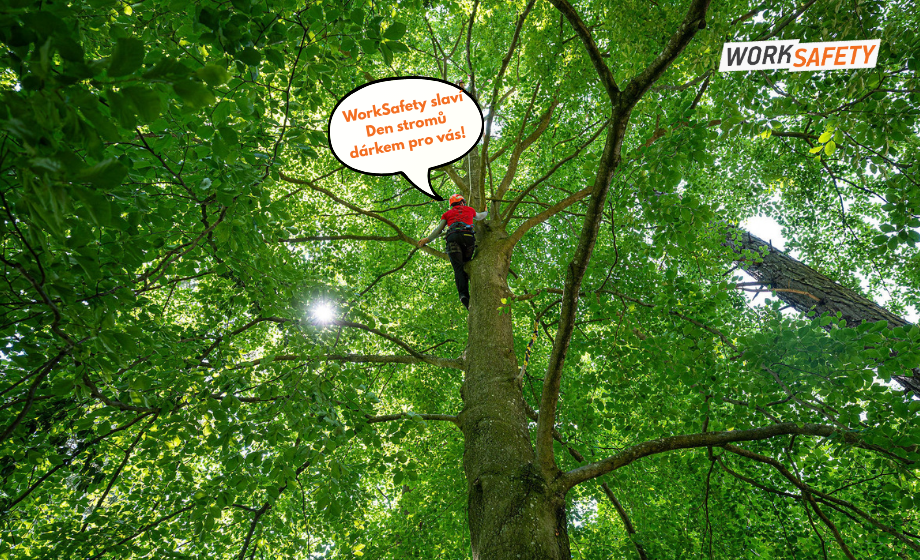 Slavíme Den stromů dárkem pro vás! 🎁