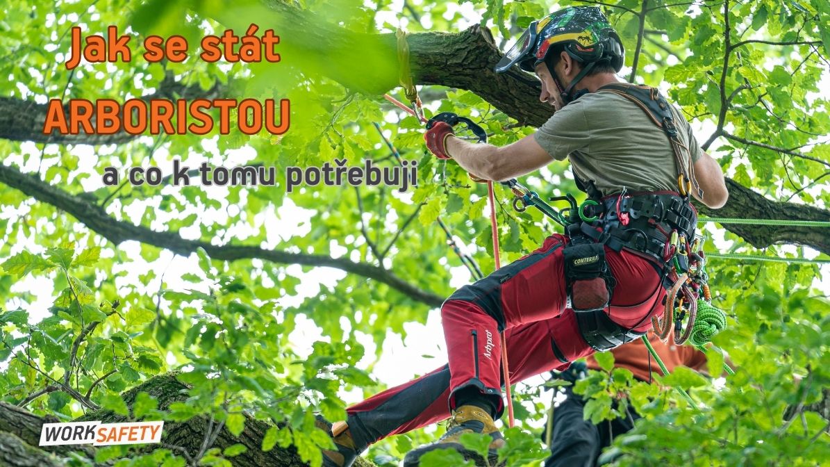 Jak se stát arboristou: kompletní průvodce (kurzy, certifikáty, vybavení)