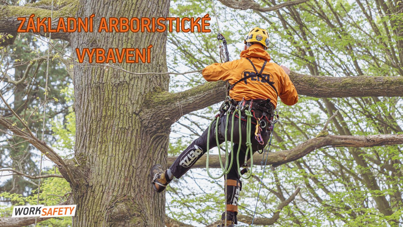 Základné arboristické vybavenie: čo potrebuje začiatočník na bezpečnú prácu