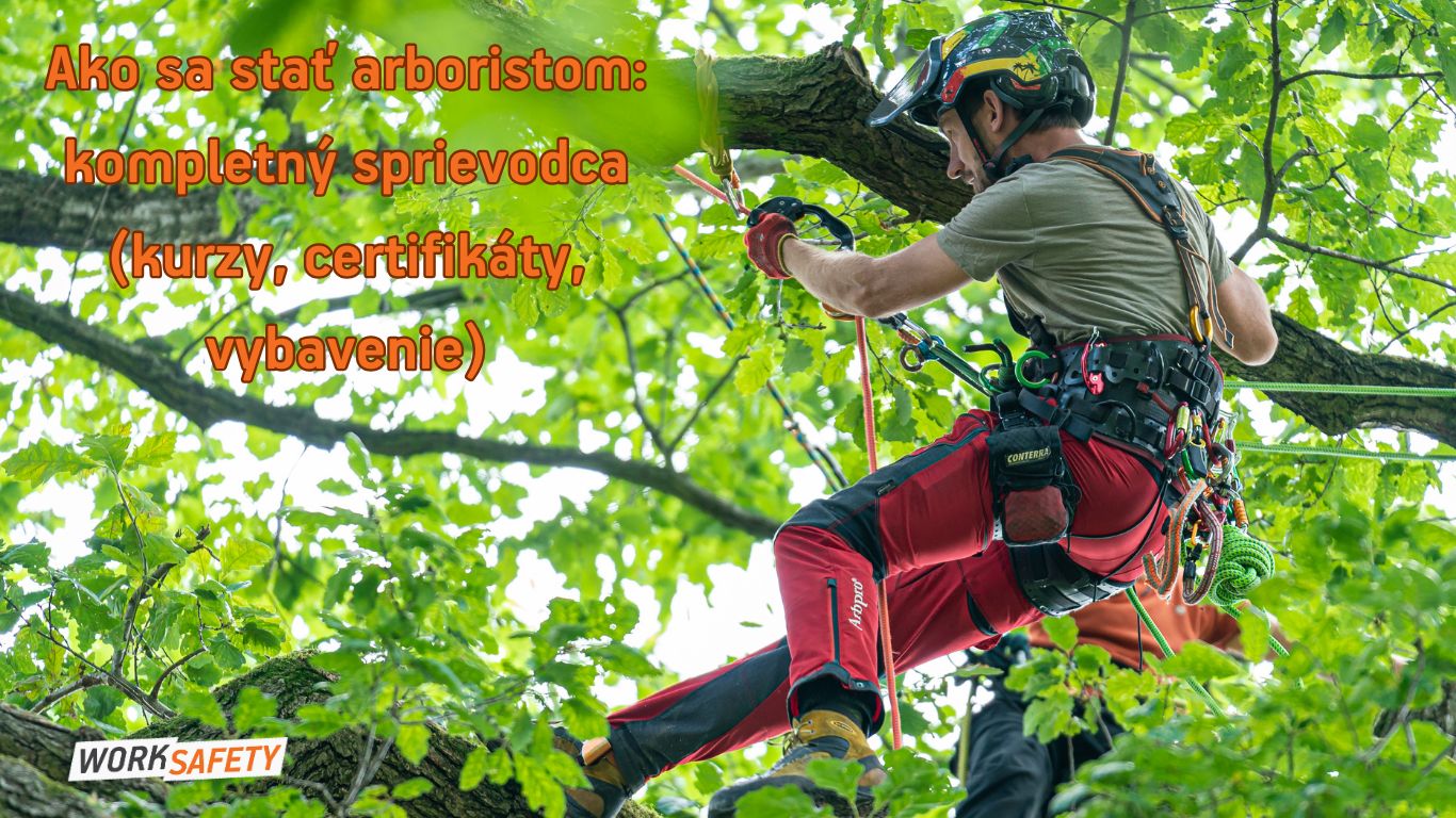 Ako sa stať arboristom: kompletný sprievodca (kurzy, certifikáty, vybavenie)